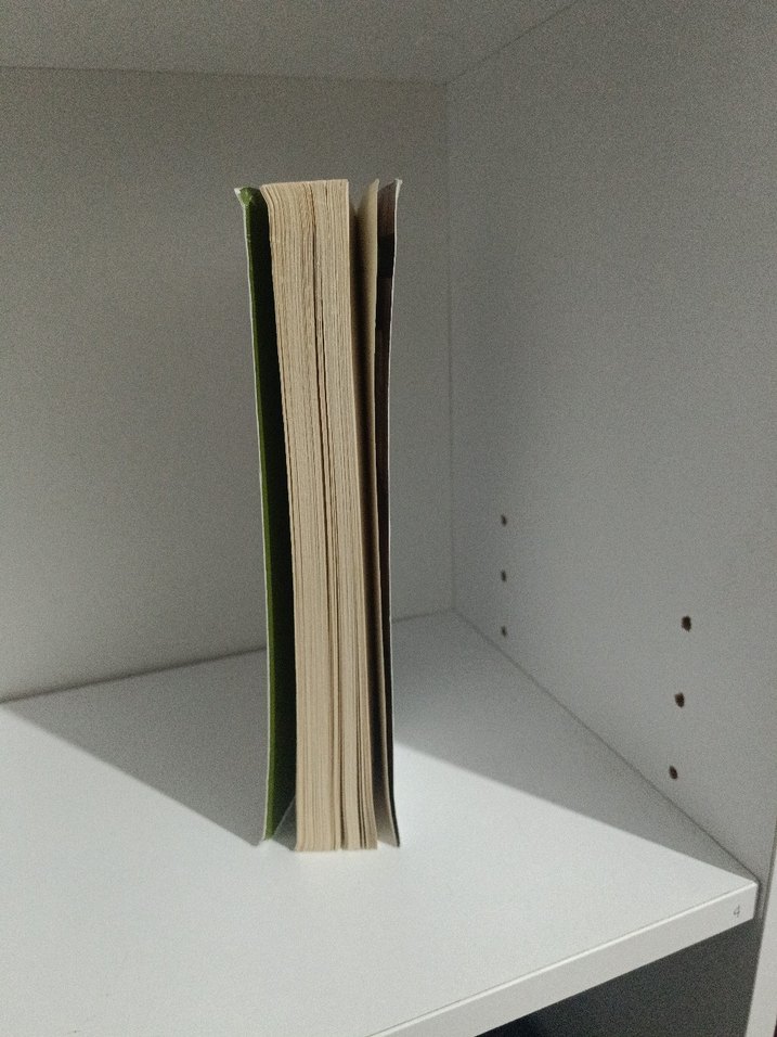 Müslüman'ın Diyeti - Kemal Özer - Görsel 2