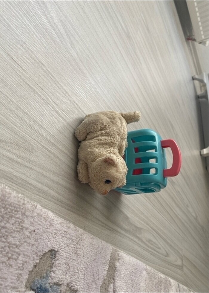 Oyuncak kedi evi - Görsel 2