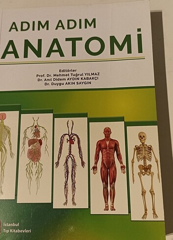 Adım adım anatomi