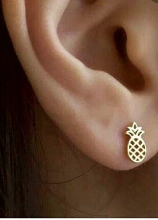 Ananas Gold kupe