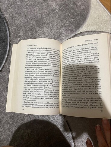 Küçük Ağaç?ın Eğitimi FORREST CARTER