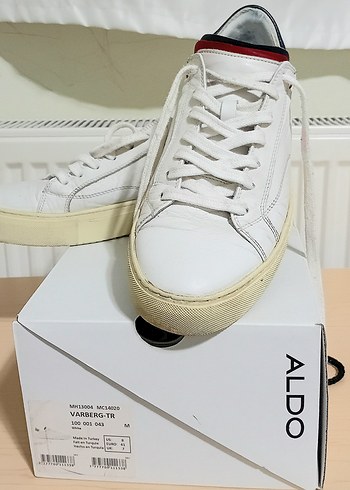 Aldo 41