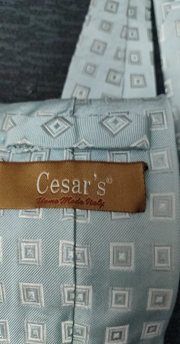 Cesar's Bej Vintage Desenli Erkek Kravat - Görsel 2