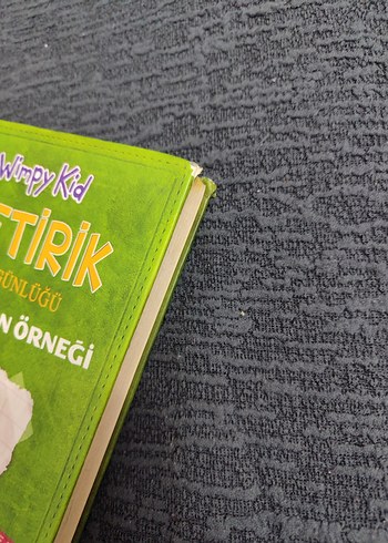 Saftirik Greg'in Günlüğü - Türünün Son Örneği 3. kitap - Görsel 2
