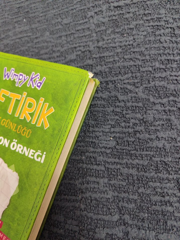 Saftirik Greg'in Günlüğü - Türünün Son Örneği 3. kitap - Görsel 2