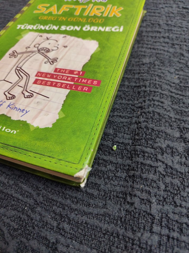 Saftirik Greg'in Günlüğü - Türünün Son Örneği 3. kitap - Görsel 3