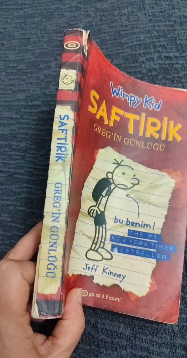 Saftirik Greg'in Günlüğü - Jeff Kinney - Görsel 2