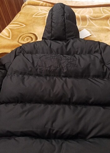 Lacoste siyah mont 