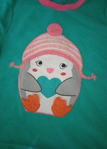 24-36 Ay Beden yeşil Renk Lcwaikiki kız çocuk polarlı sweatshirt 