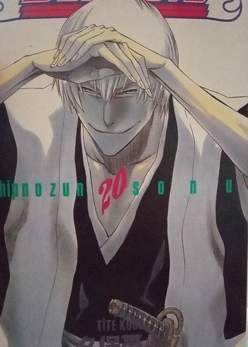 Bleach Manga Sayısı 20