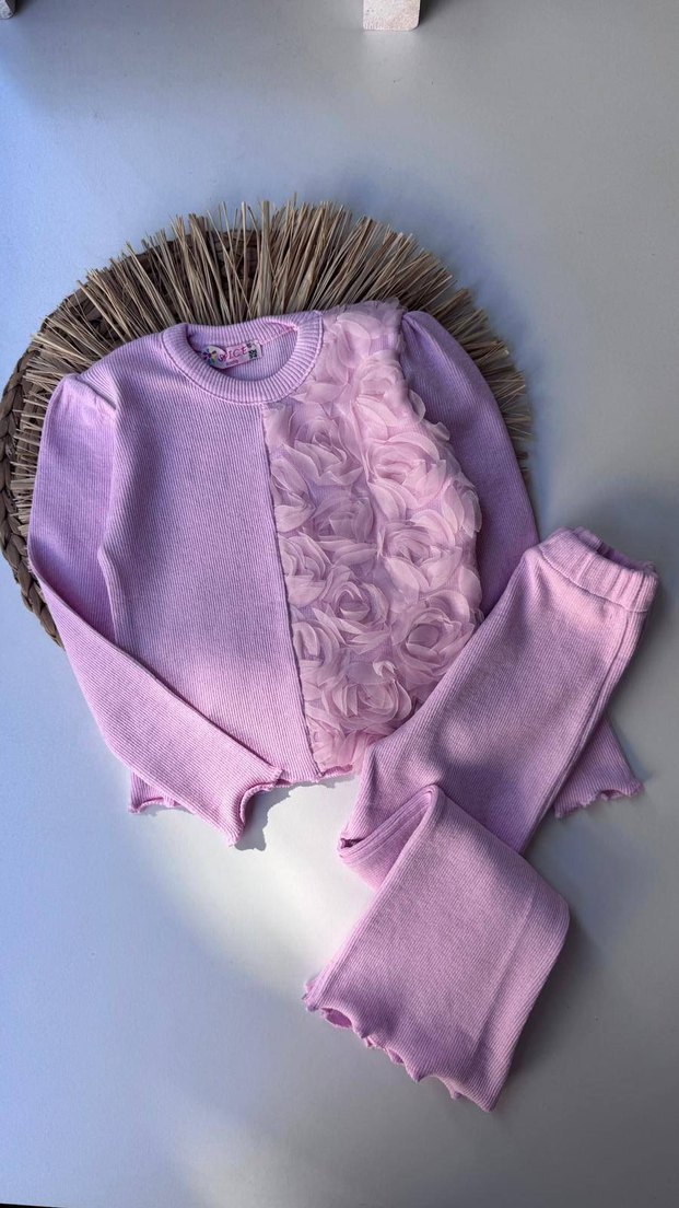 toptan satış Pembe Bebek Kız Takımı Uzun Kollu Fırfırlı - Görsel 2