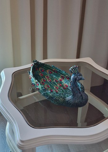 Dekoratif Tavuskuşu - Görsel 12