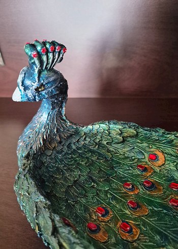 Dekoratif Tavuskuşu - Görsel 6