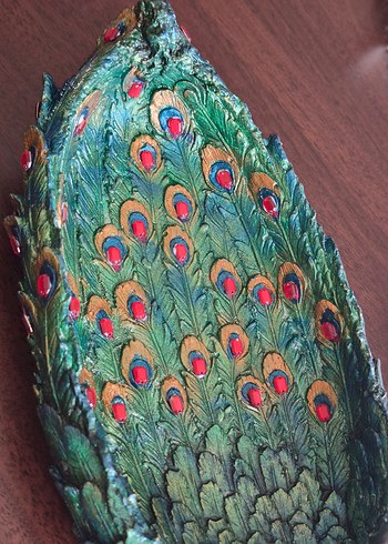 Dekoratif Tavuskuşu - Görsel 3