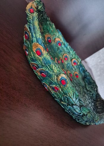 Dekoratif Tavuskuşu - Görsel 5