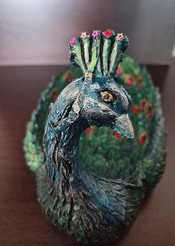 Dekoratif Tavuskuşu - Görsel 2