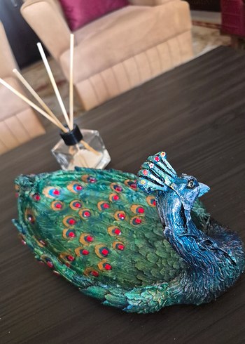 Dekoratif Tavuskuşu - Görsel 9