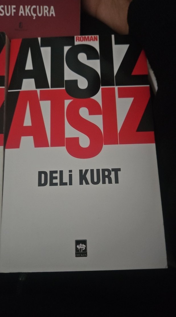 Yusuf Akçura ve Atsız Deli Kurt Romanları - Görsel 4