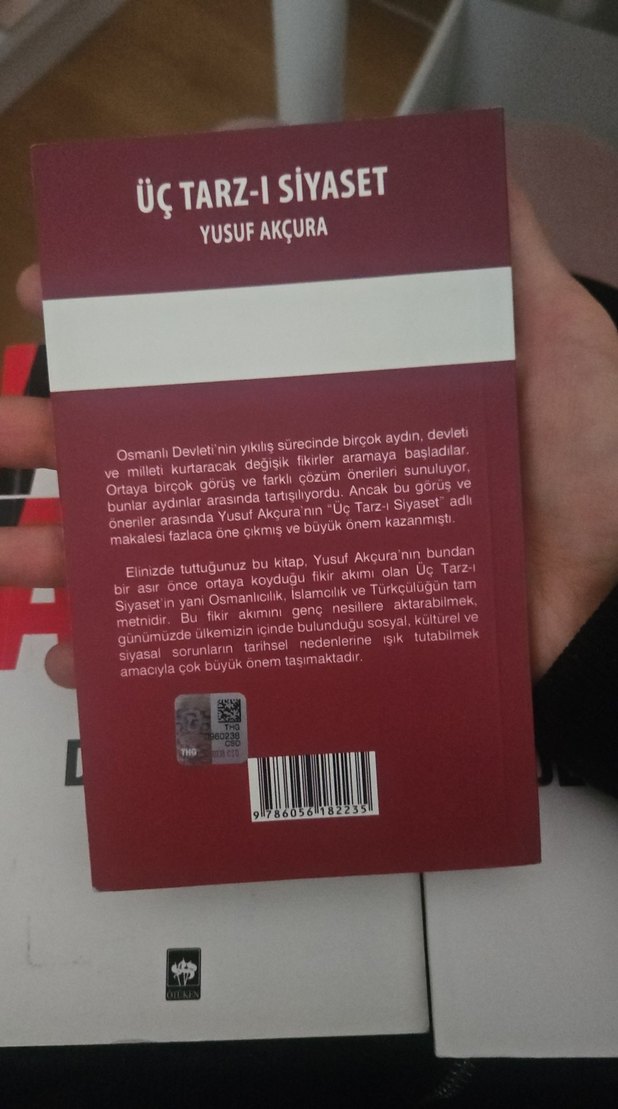 Yusuf Akçura ve Atsız Deli Kurt Romanları - Görsel 5