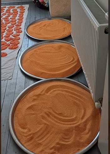  Beden Organik Ev Tarhanası