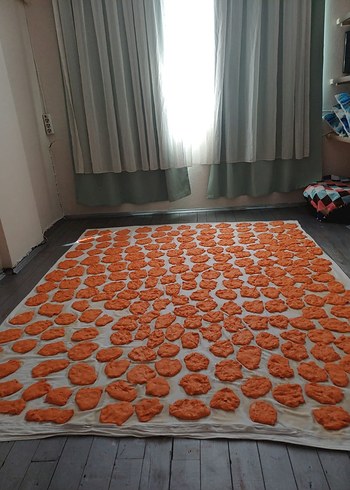 Diğer Organik Ev Tarhanası
