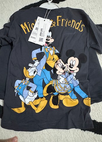 Gri Mickey & Friends Erkek Bebek Takımı - Görsel 2