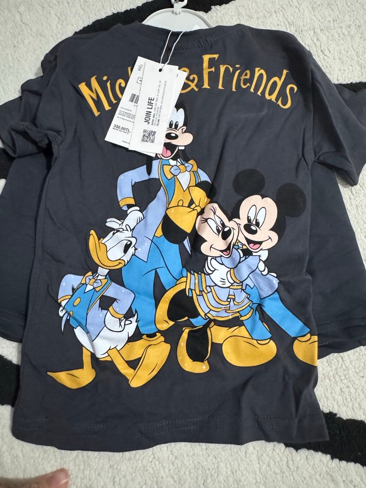 Gri Mickey & Friends Erkek Bebek Takımı - Görsel 2