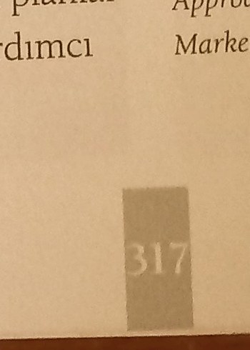 Seçim Kazandıran Kampanyalar - Görsel 4