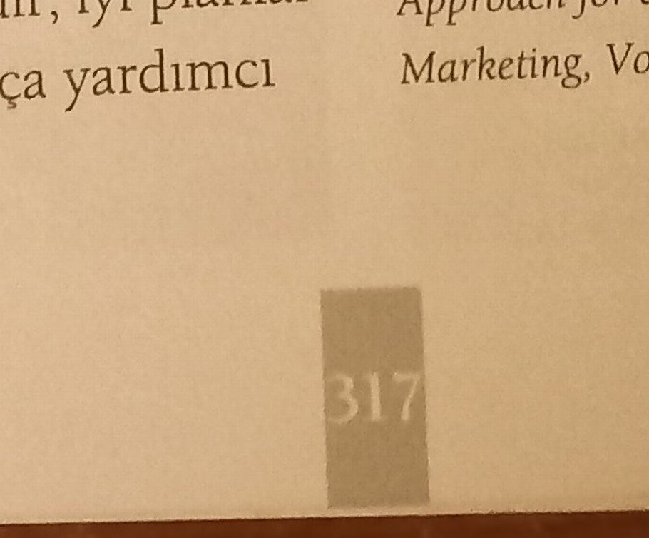 Seçim Kazandıran Kampanyalar - Görsel 4