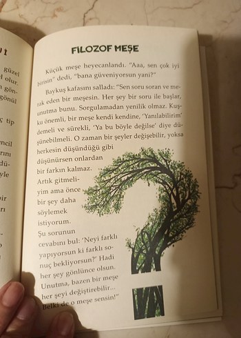 Beden Renk Filozof Meşe - Çocuk Kitabı