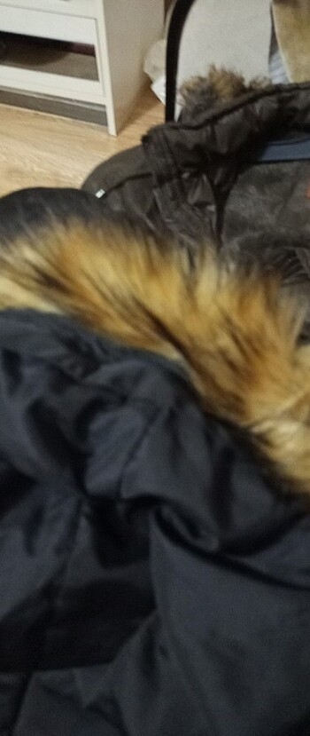 #us polo# - Görsel 3