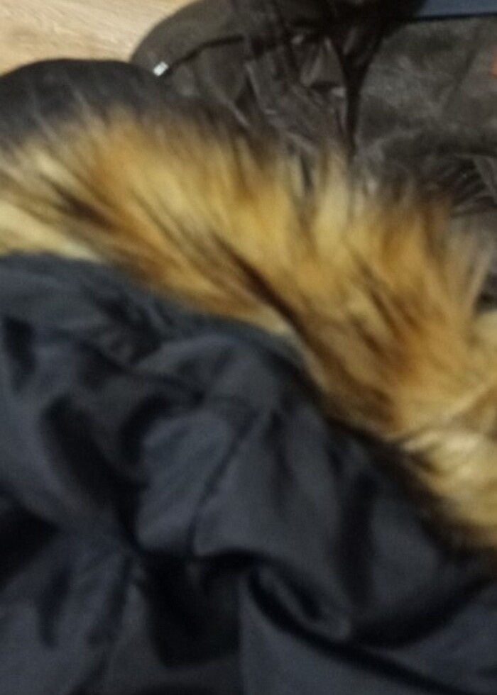 #us polo# - Görsel 3