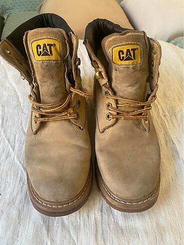 Cat Bot