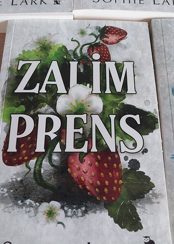 Sophie Lark Kitap Seti - 5 Roman - Görsel 7