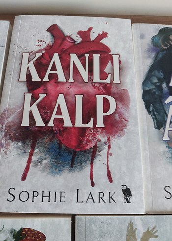 Sophie Lark Kitap Seti - 5 Roman - Görsel 5
