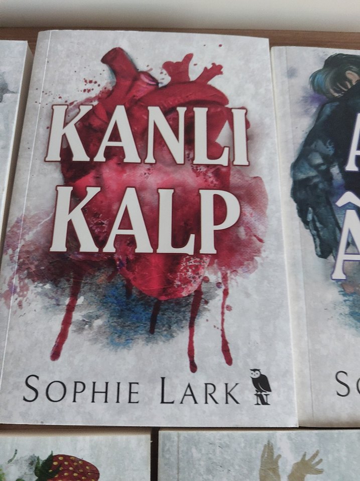 Sophie Lark Kitap Seti - 5 Roman - Görsel 5