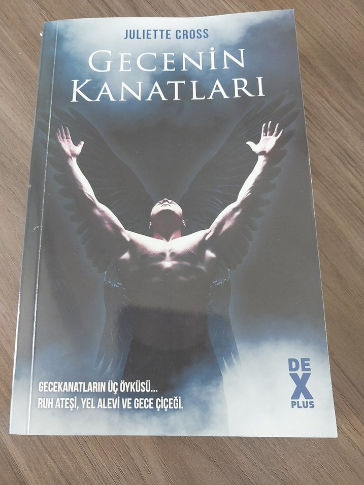 Gecenin Kanatları - Juliette Cross - Görsel 2