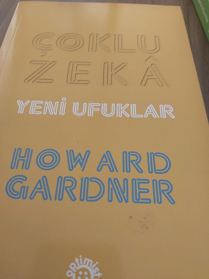 Çoklu Zekâ - Yeni Ufuklar Howard Gardner - Görsel 2