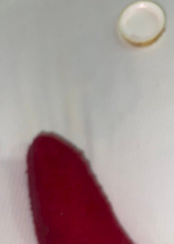 Pastel Pembe Allık - Görsel 5