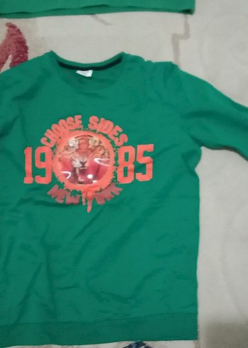 Erkek Çocuk Renkli Baskılı Sweatshirt 3 Adet - Görsel 4