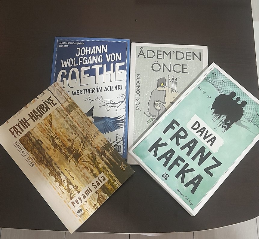 Dostoyevski Klasik Roman Seti - Görsel 3