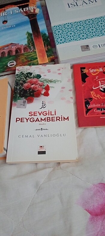 Beden Renk Dini kitap