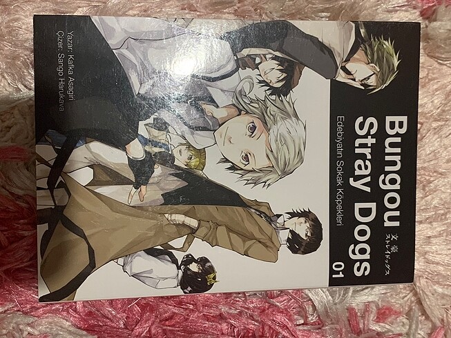 Bungou stray dogs 1