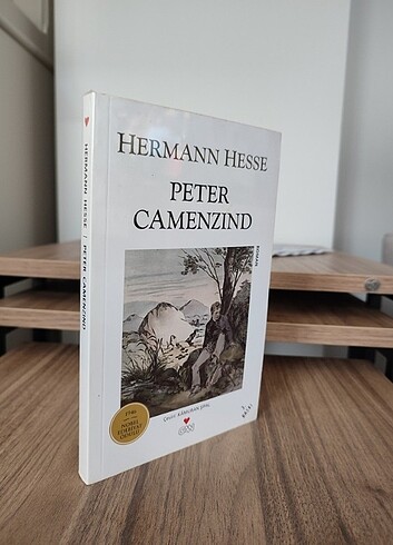 Peter Camenzind - Hermann Hesse