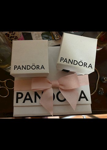 Orijinal Pandora Charm üstü çizililer satıldı - Görsel 3