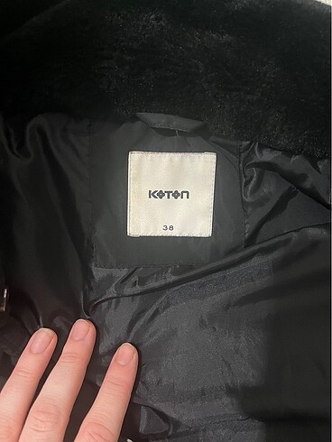 Koton Montt