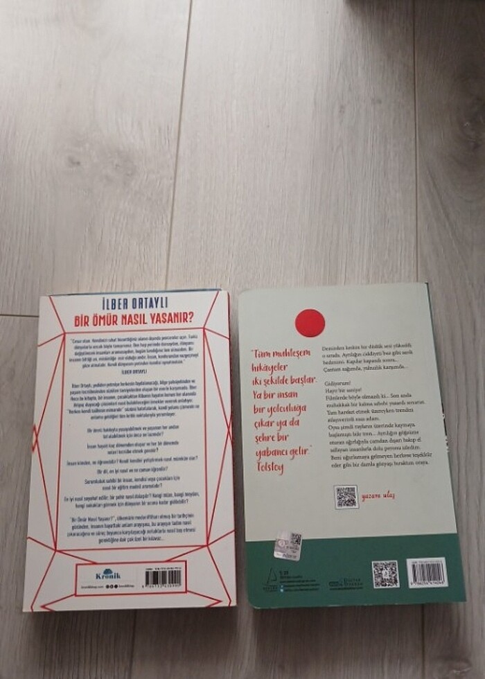 Bir Ömür Nasıl Yaşanır , Ne İçin Varsan Onun İçin Yaşa - Görsel 2