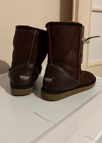 Pegia 38