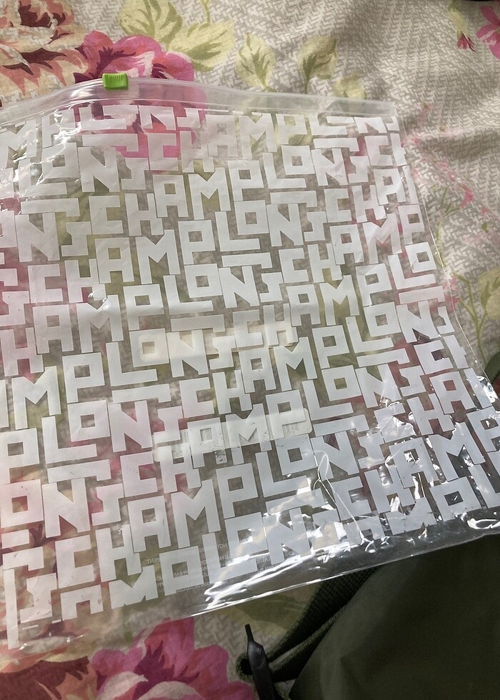 Longchamp sırt çantası - Görsel 5