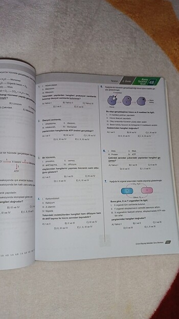  Beden Renk 9. Sınıf biyoloji test kitabı 